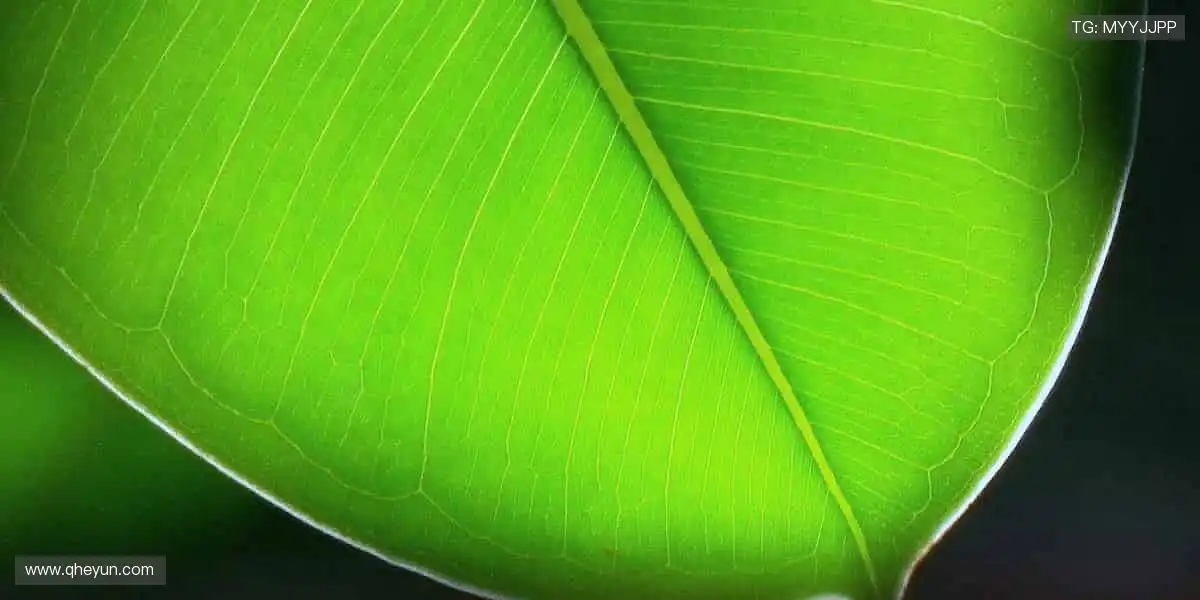 ⚡释放你的冠军潜能，装备你的热爱！💪